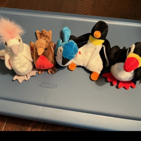Ty Other - TY Beanie Babies - Birds - Lot of 5